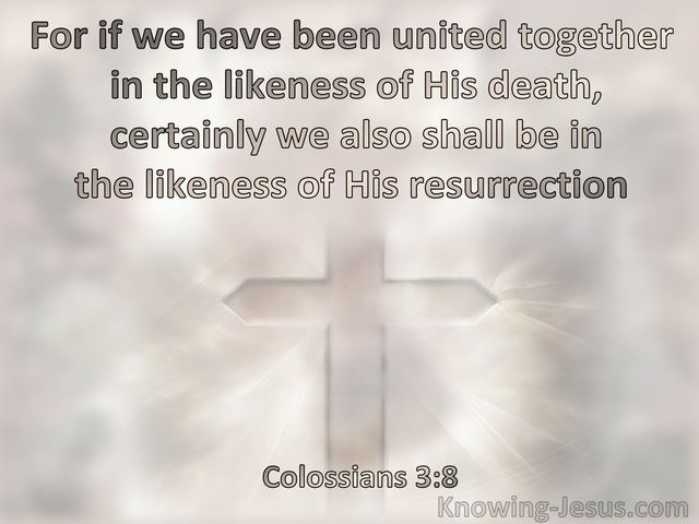 Colossians 3:8 United In The Likenss Of His Death And Also In The Likenss Of His Resurrection (pink)